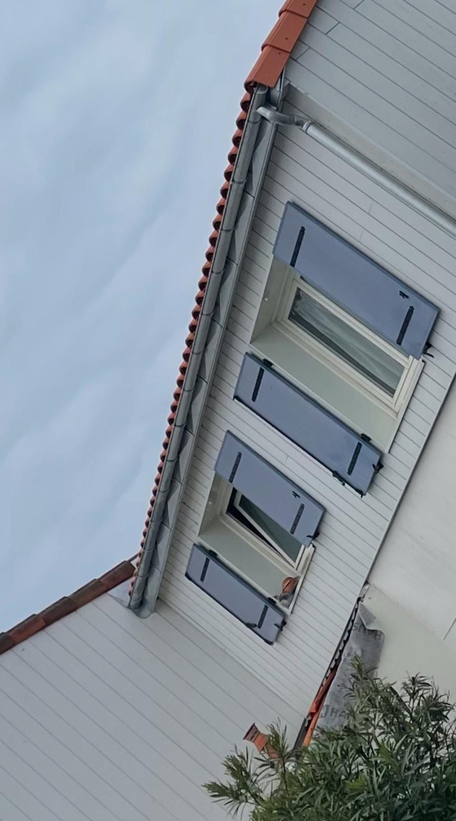 Façade avec fenêtre de toit